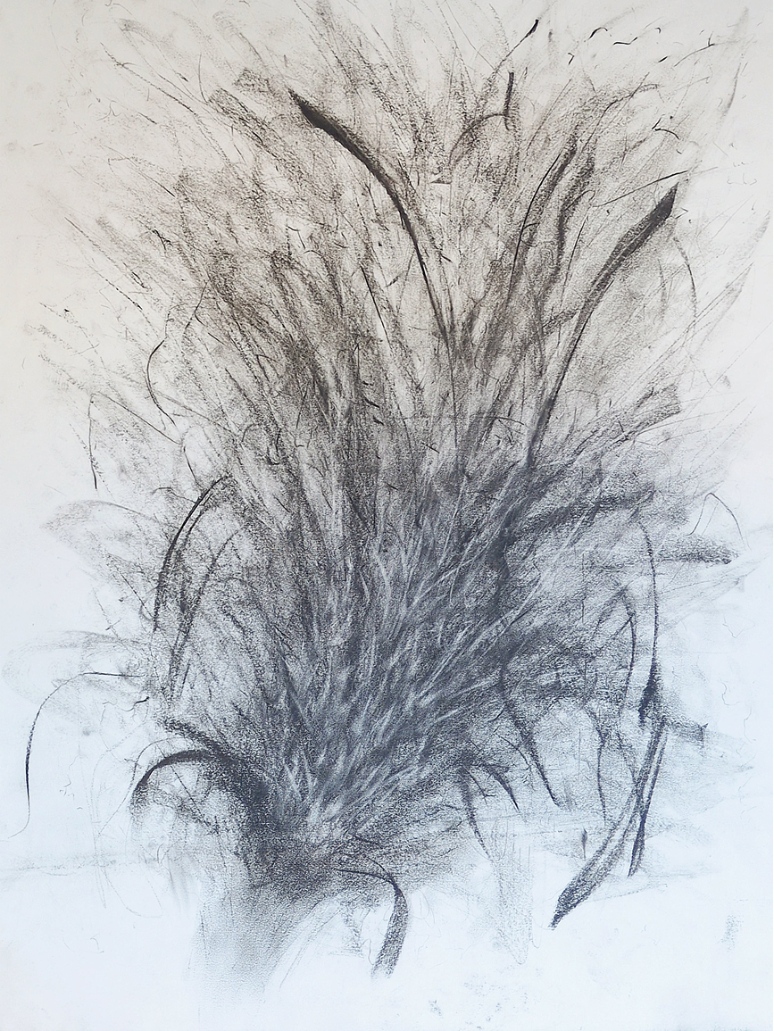 Abstract gestural drawing