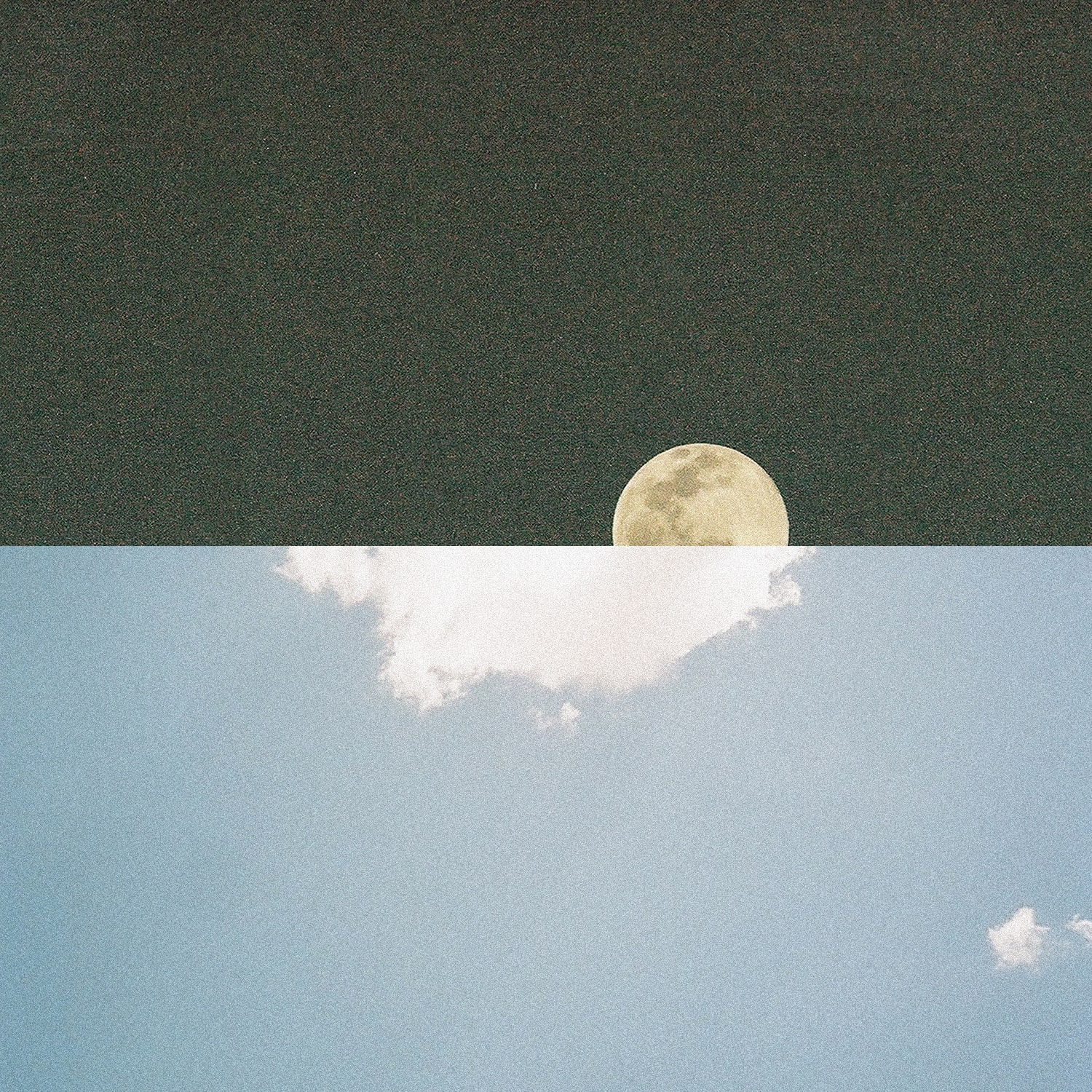 Cover art for The Motion Backwards