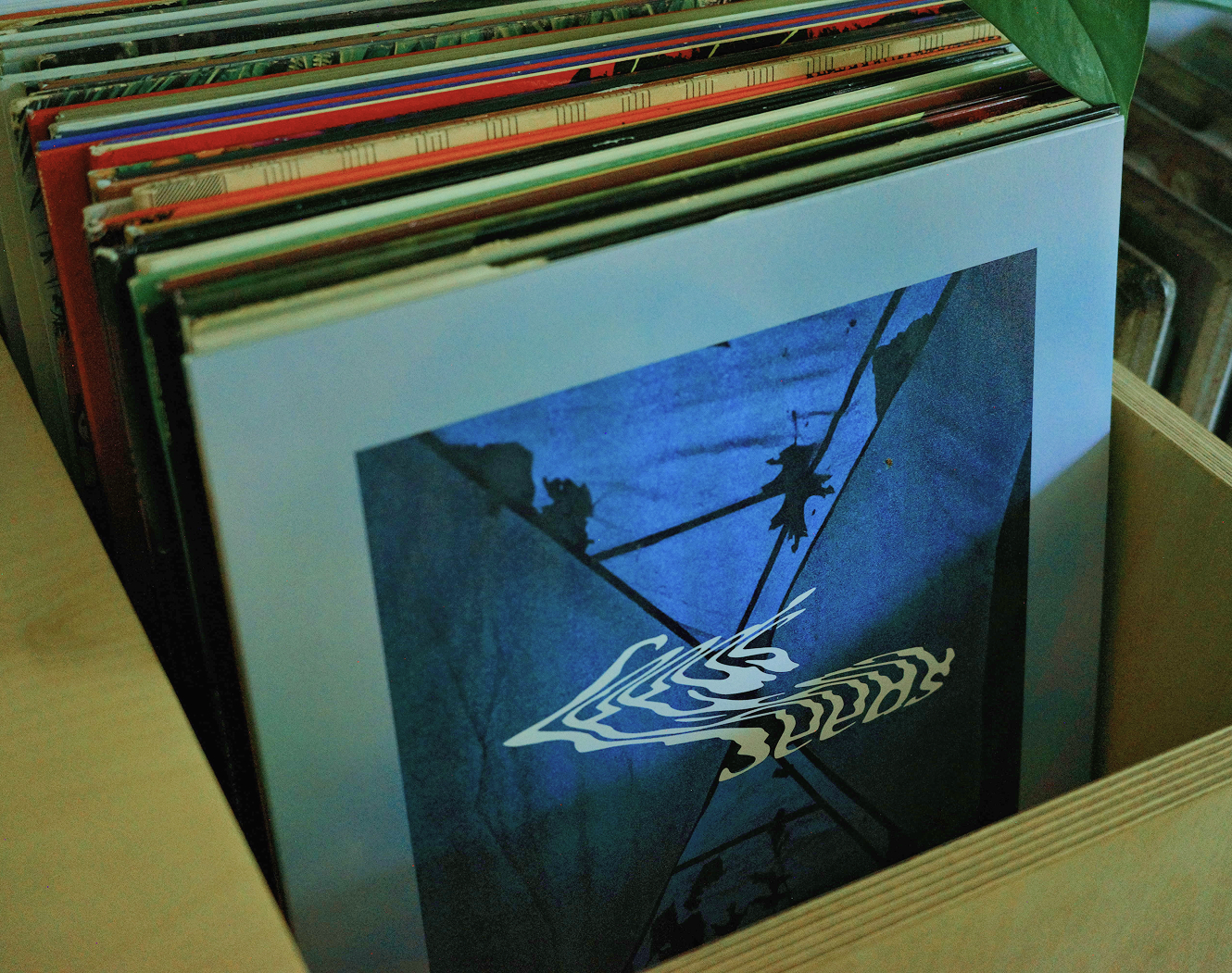 Photograph of Seeds on vinyl