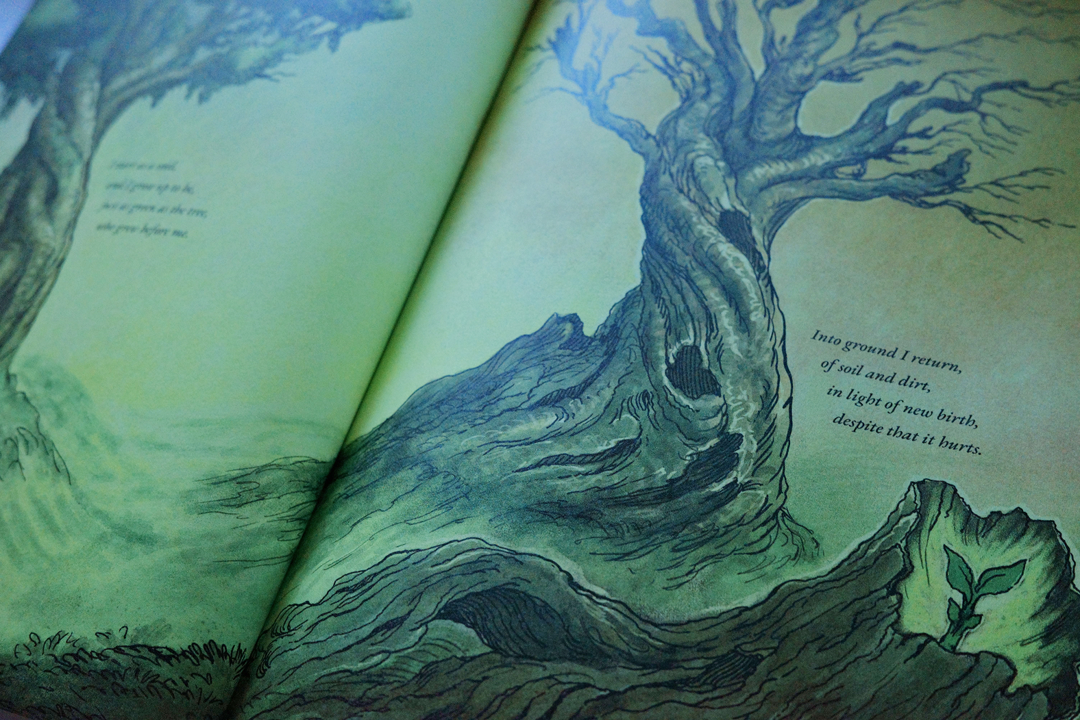 Page from the A Tree Like Me book