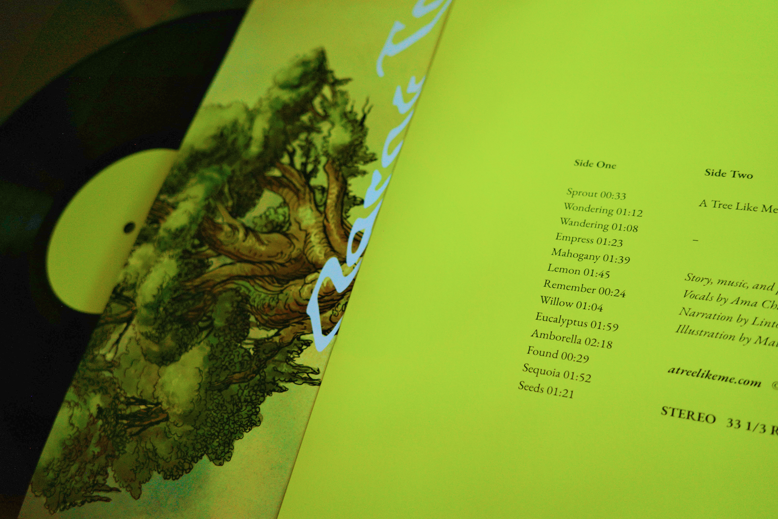 Photograph of A Tree Like Me on vinyl